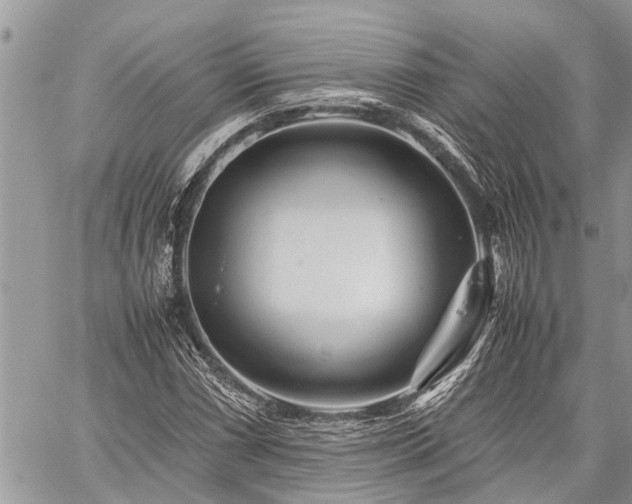 X0000059801066200510211046