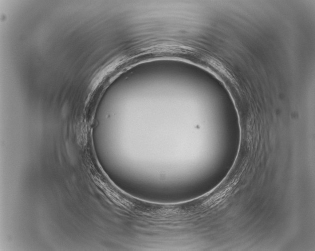 X0000059801067200510211046