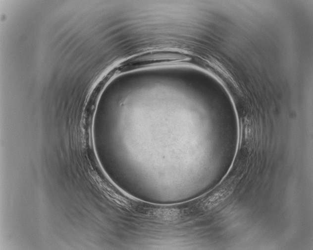 X0000059801068200510211046