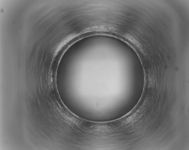 X0000059801070200510211046