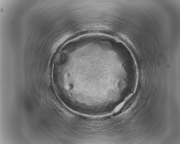 X0000059801071200510211046