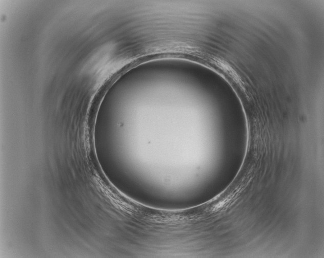 X0000059801072200510211046