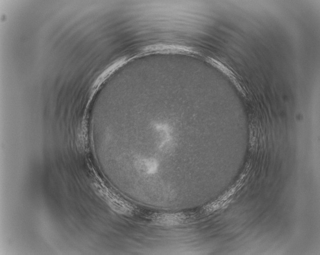 X0000059801074200510211046