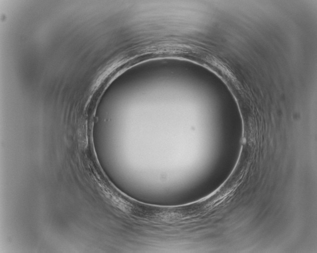 X0000059801075200510211046