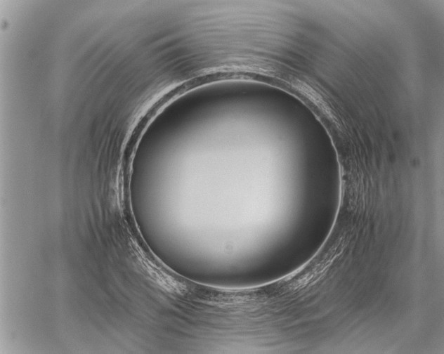 X0000059801076200510211046