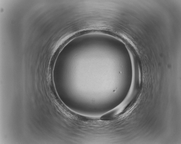 X0000059801077200510211046