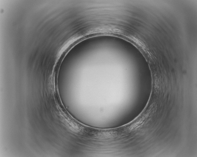 X0000059801078200510211046