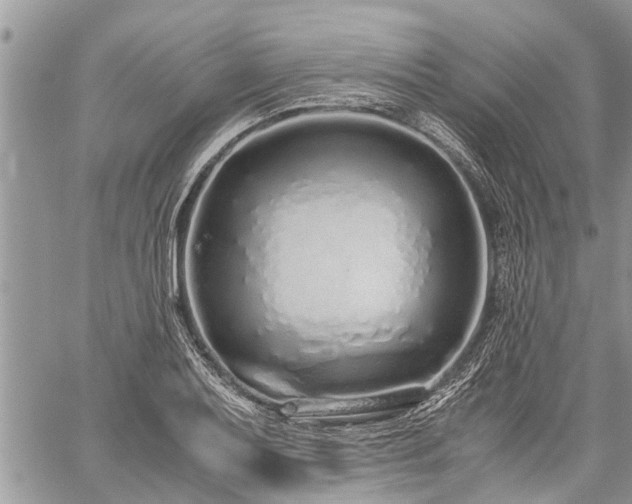 X0000059801079200510211046