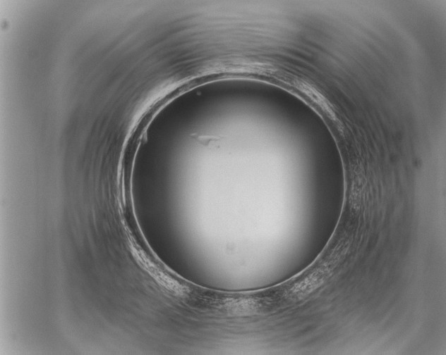 X0000059801080200510211046