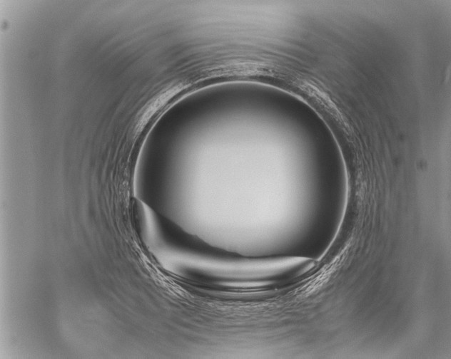 X0000059801081200510211046