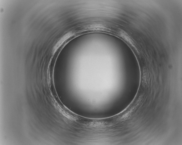 X0000059801082200510211046