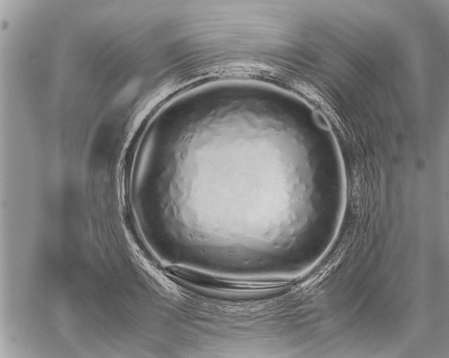 X0000059801083200510211046