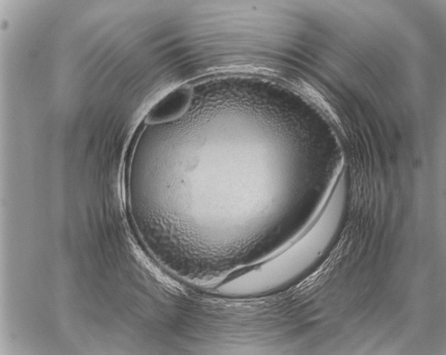 X0000059801084200510211046