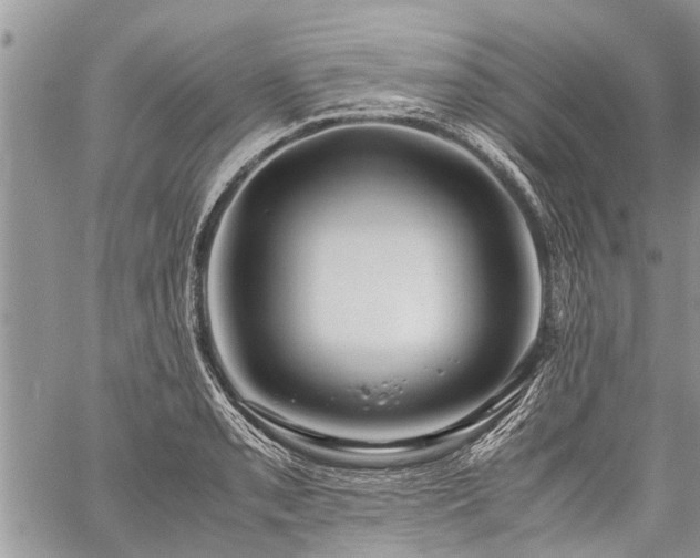 X0000059801085200510211046