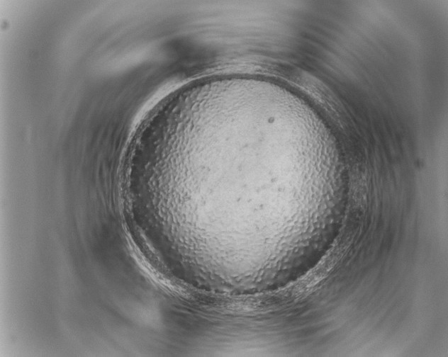 X0000059801086200510211045