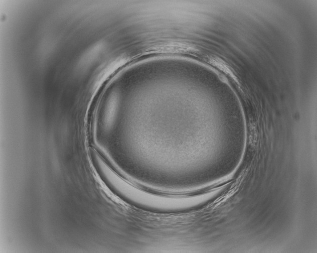 X0000059801087200510211045