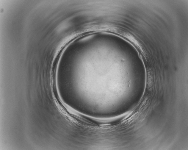 X0000059801088200510211045