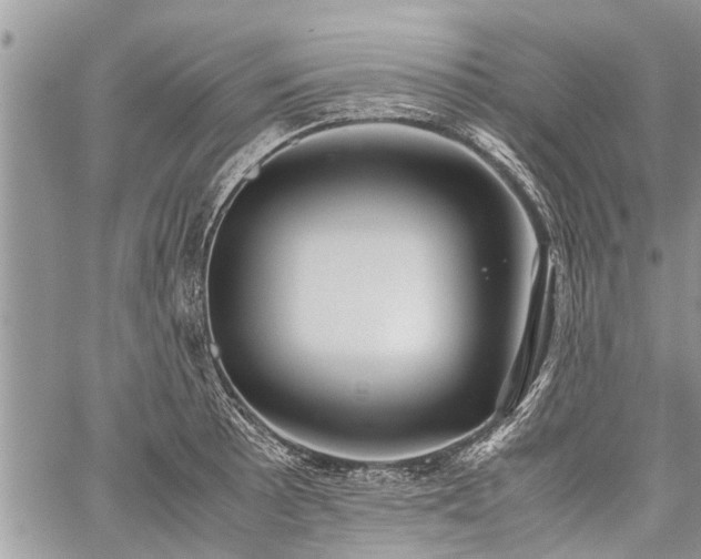 X0000059801089200510211045