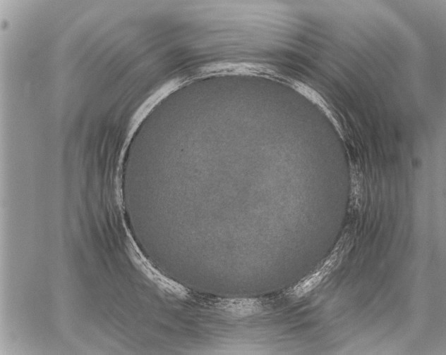 X0000059801090200510211045