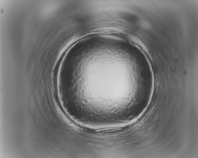 X0000059801091200510211045