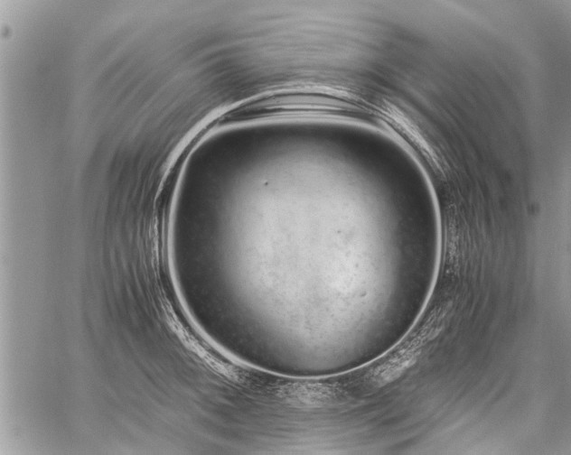 X0000059801092200510211045