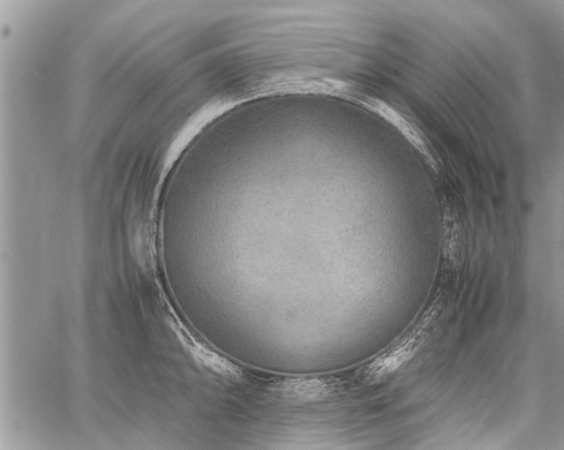 X0000059801094200510211045