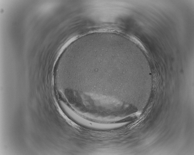 X0000059801095200510211045