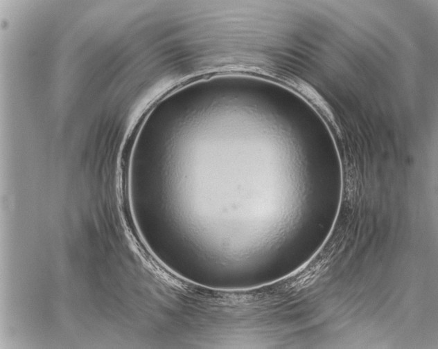 X0000059801096200510211045