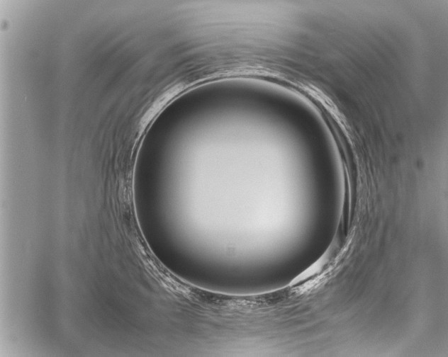 X0000059801097200510211045