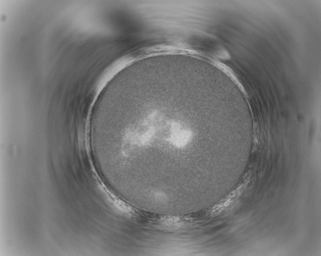 X0000059801098200510211045