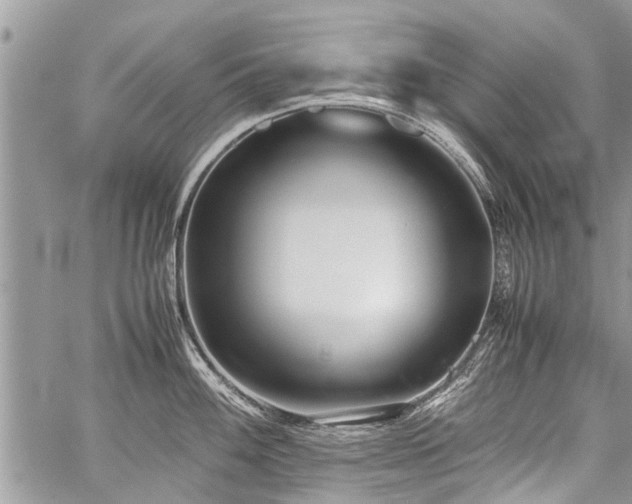 X0000059801100200510211045