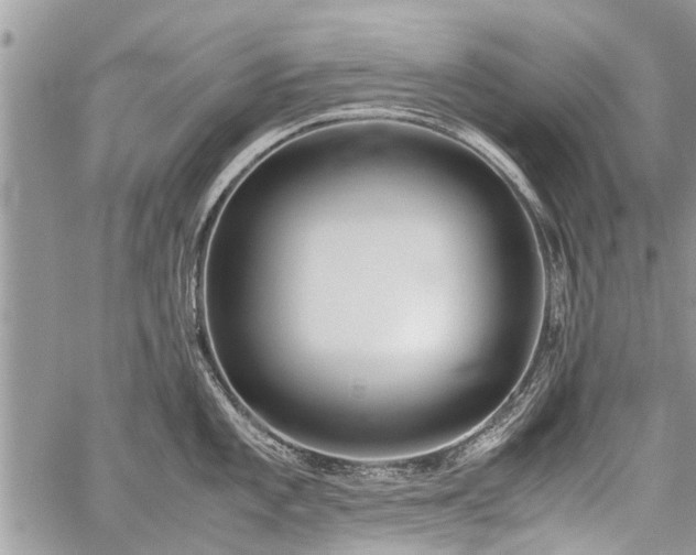 X0000059801101200510211045