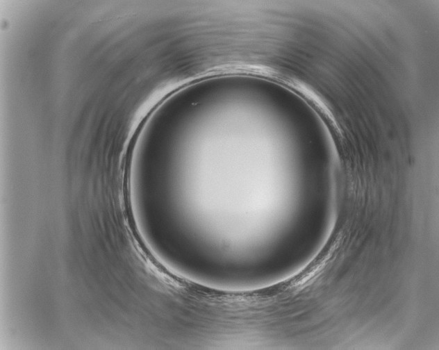 X0000059801102200510211045