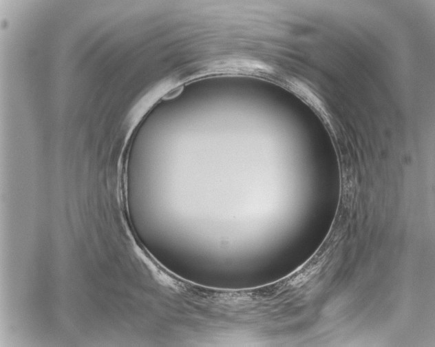 X0000059801103200510211045