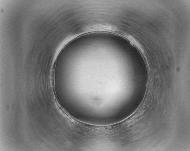 X0000059801104200510211045