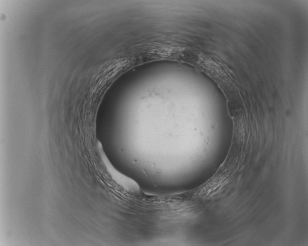 X0000059801105200510211044