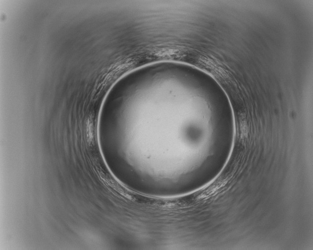 X0000059801106200510211044