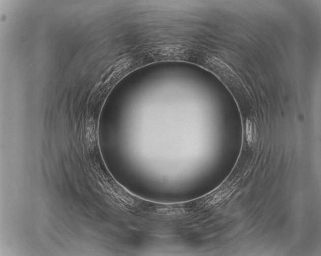 X0000059801107200510211044