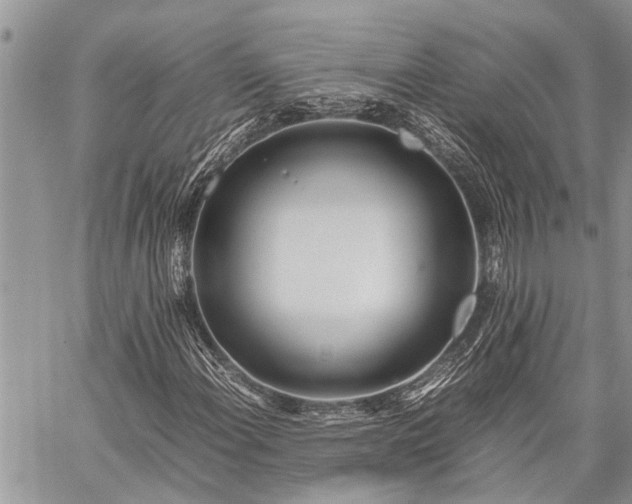 X0000059801108200510211044