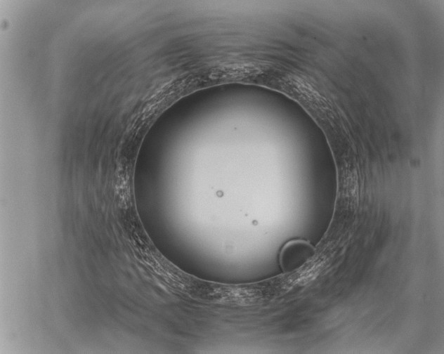 X0000059801109200510211044