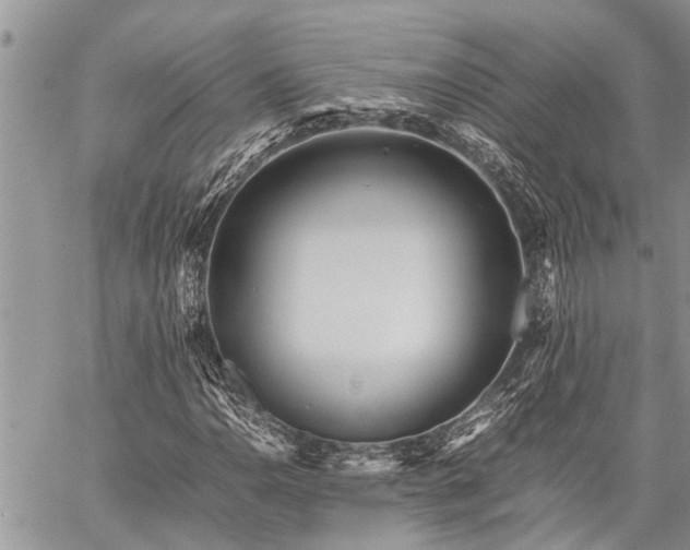 X0000059801110200510211044