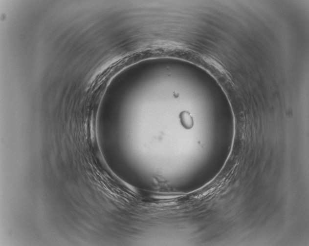 X0000059801112200510211045