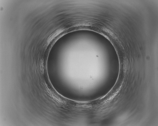 X0000059801113200510211045