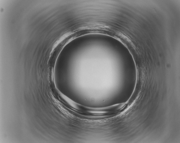 X0000059801114200510211045