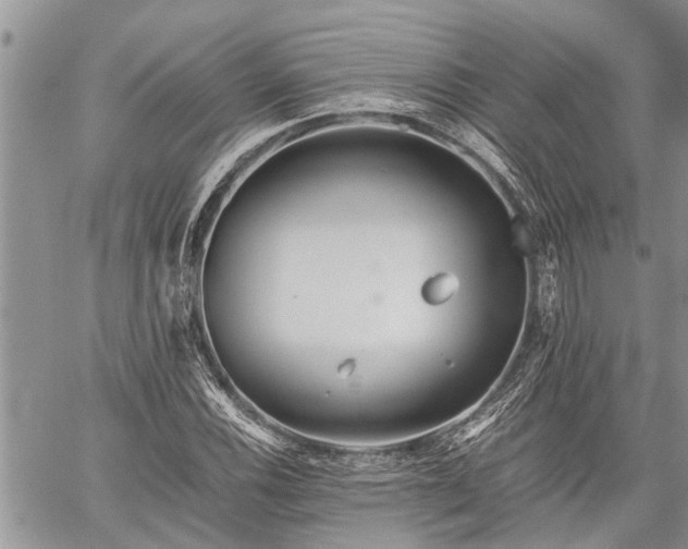 X0000059801116200510211045