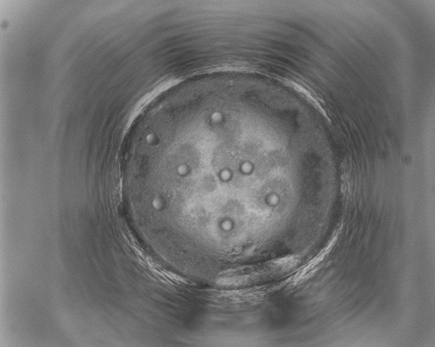 X0000059801117200510211045