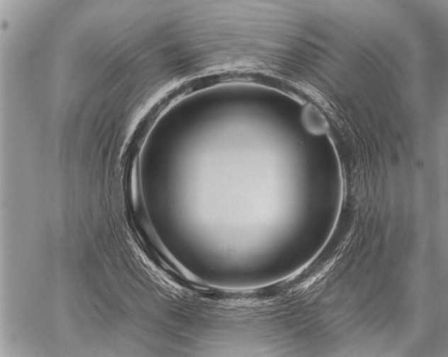 X0000059801118200510211045