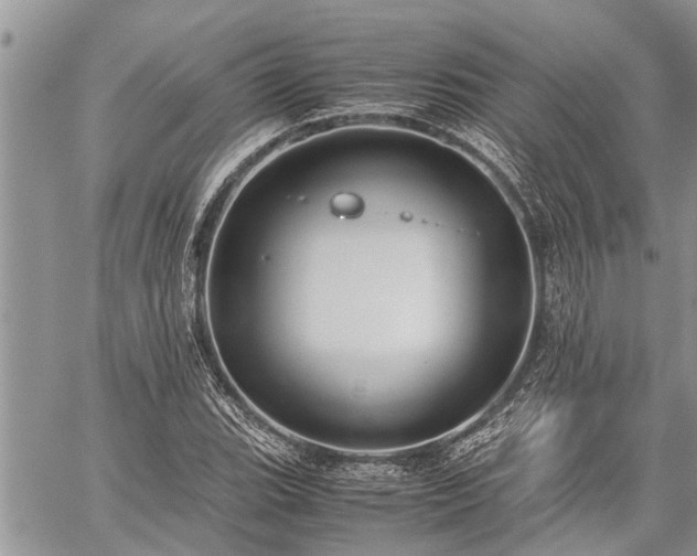 X0000059801119200510211045