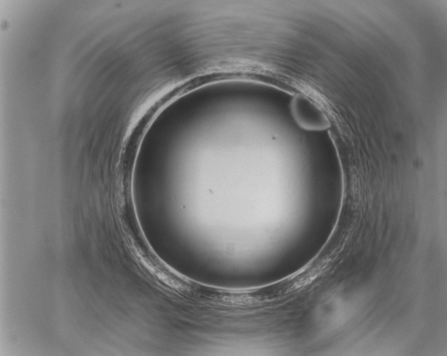 X0000059801120200510211045