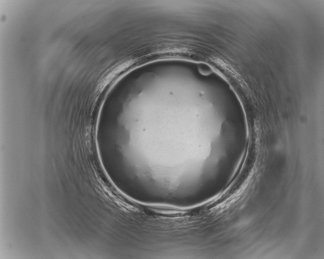 X0000059801121200510211045